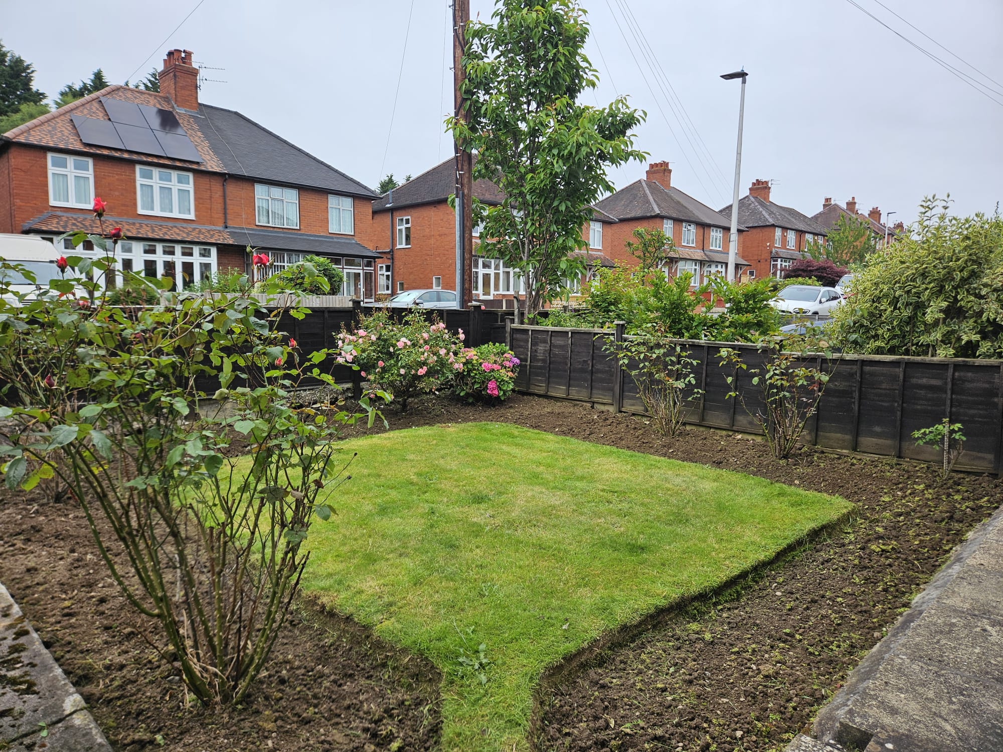 Shrewsbury gardening