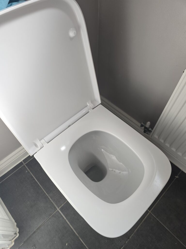 toilet repair
